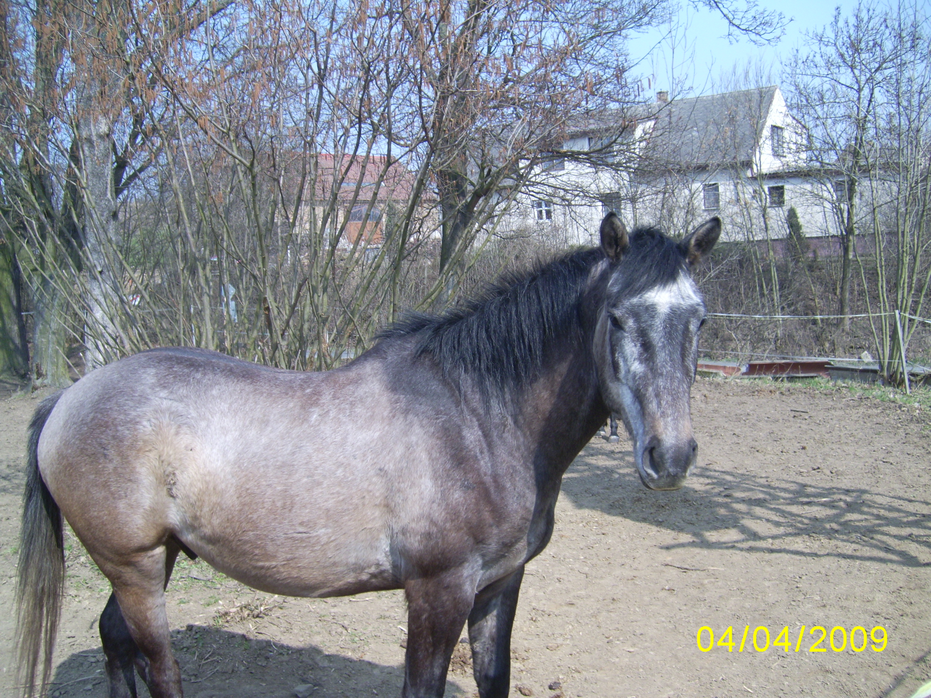 Snímek 840.jpg