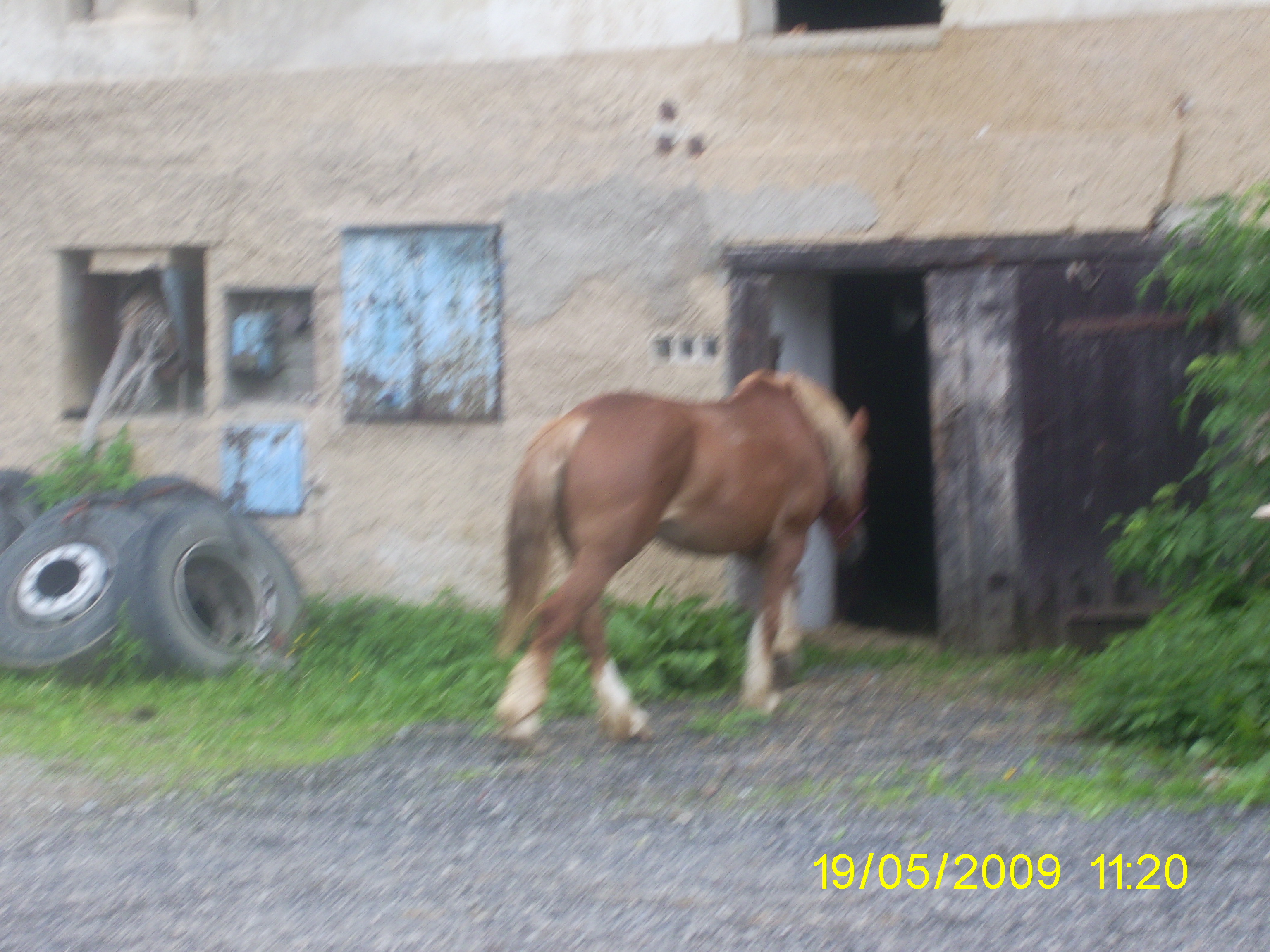 Snímek 888.jpg