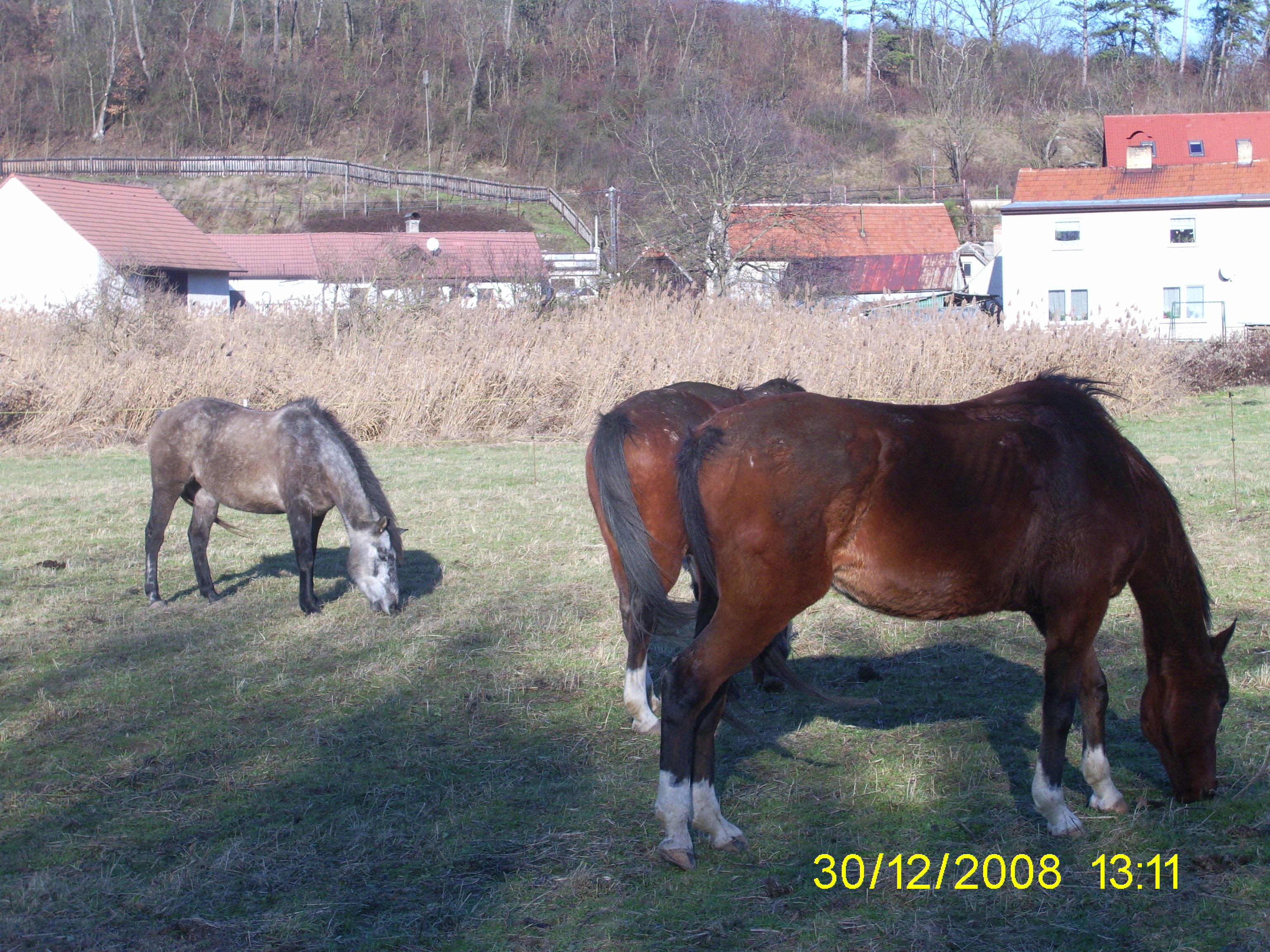 Snímek 1339.jpg